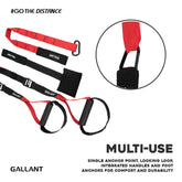 Fitness Suspension Trainer Kit Multi Use.